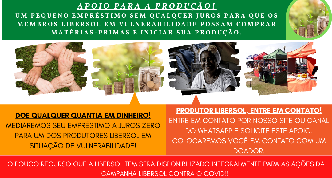 emprestimo site